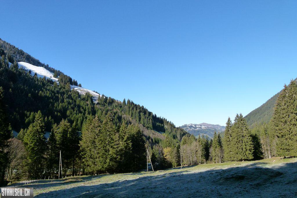 k-P1200615.JPG
