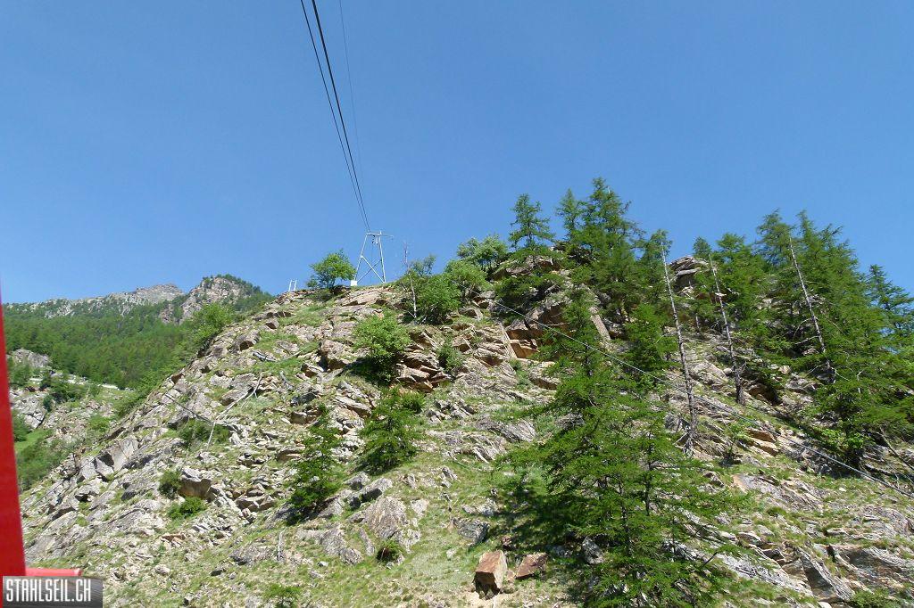 k-P1360777.JPG