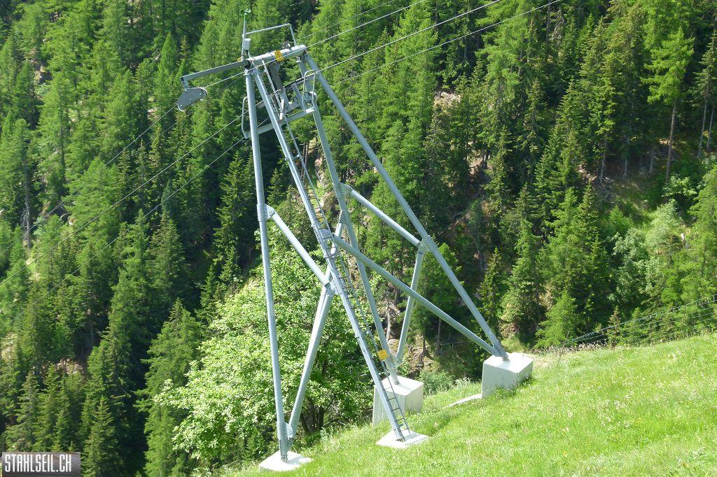 k-P1360819.JPG