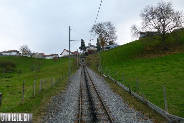 k-P1220203.JPG