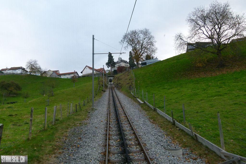 k-P1220203.JPG