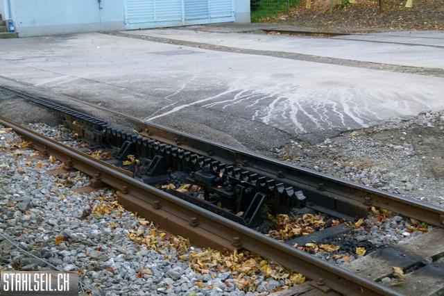 k-P1220216.JPG