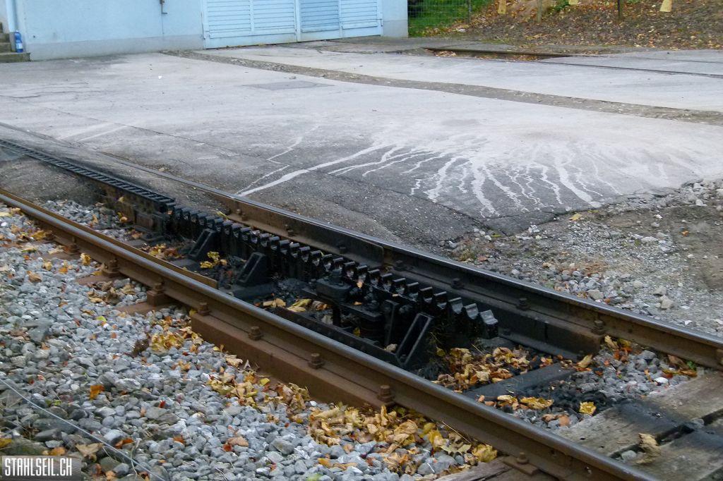 k-P1220216.JPG