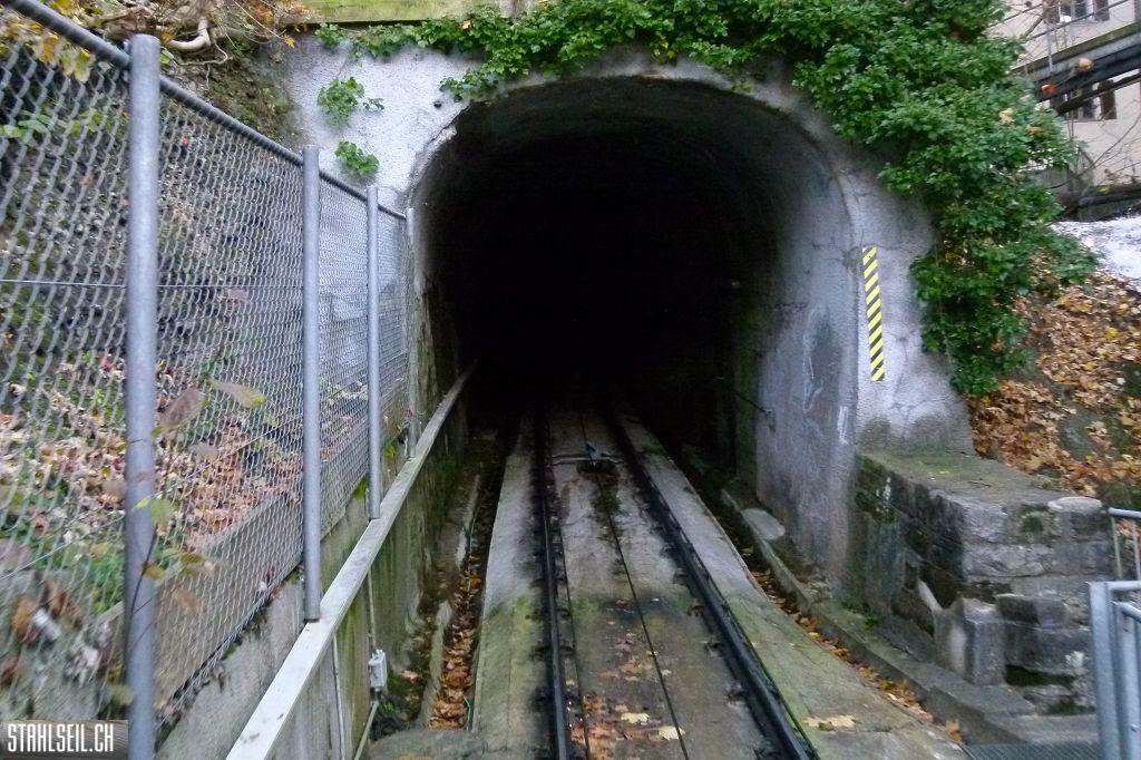 k-P1220405.JPG