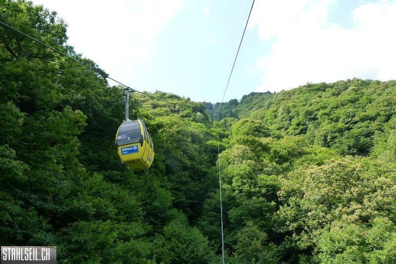 k-P1380006.JPG