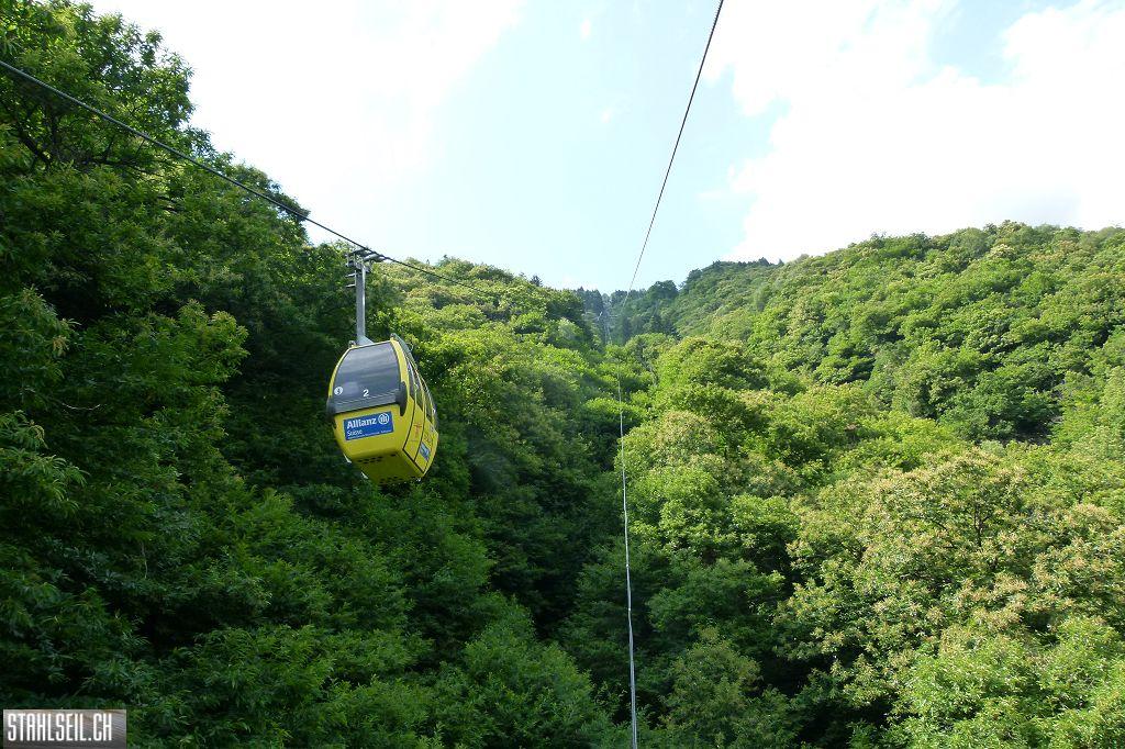 k-P1380006.JPG