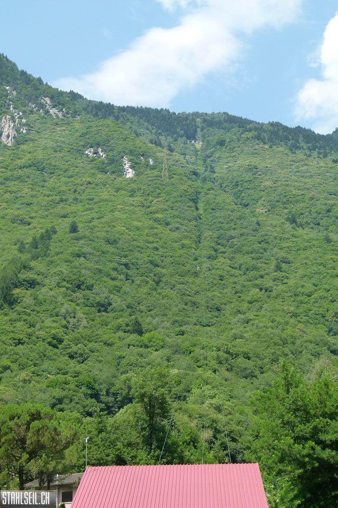 k-P1370819.JPG