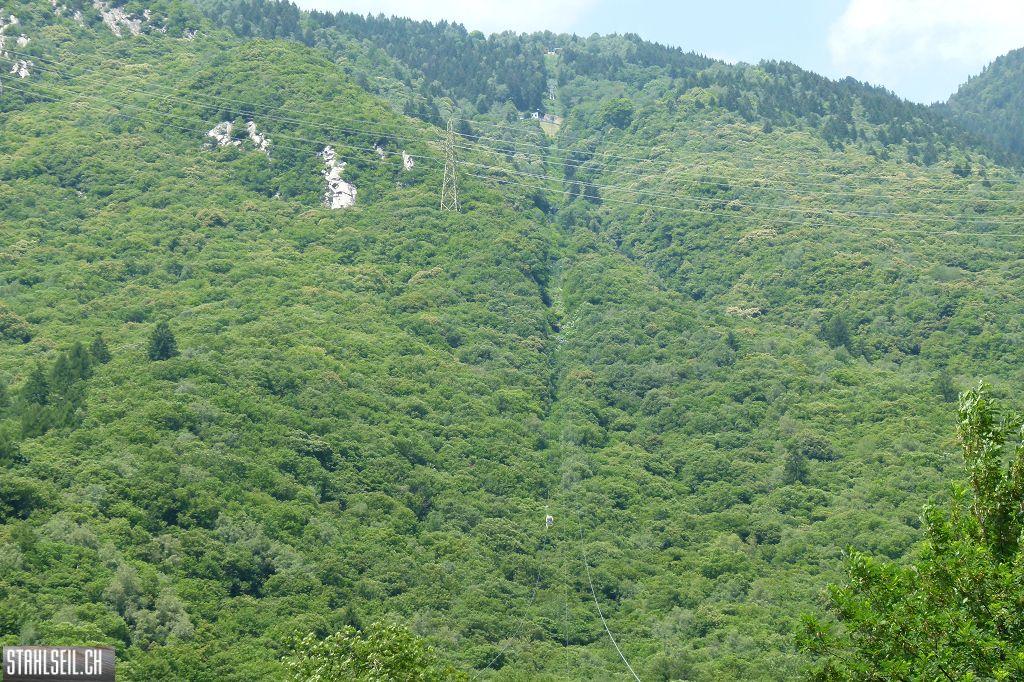 k-P1370820.JPG