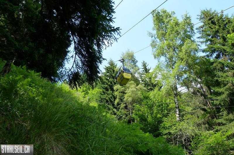 k-P1370915.JPG