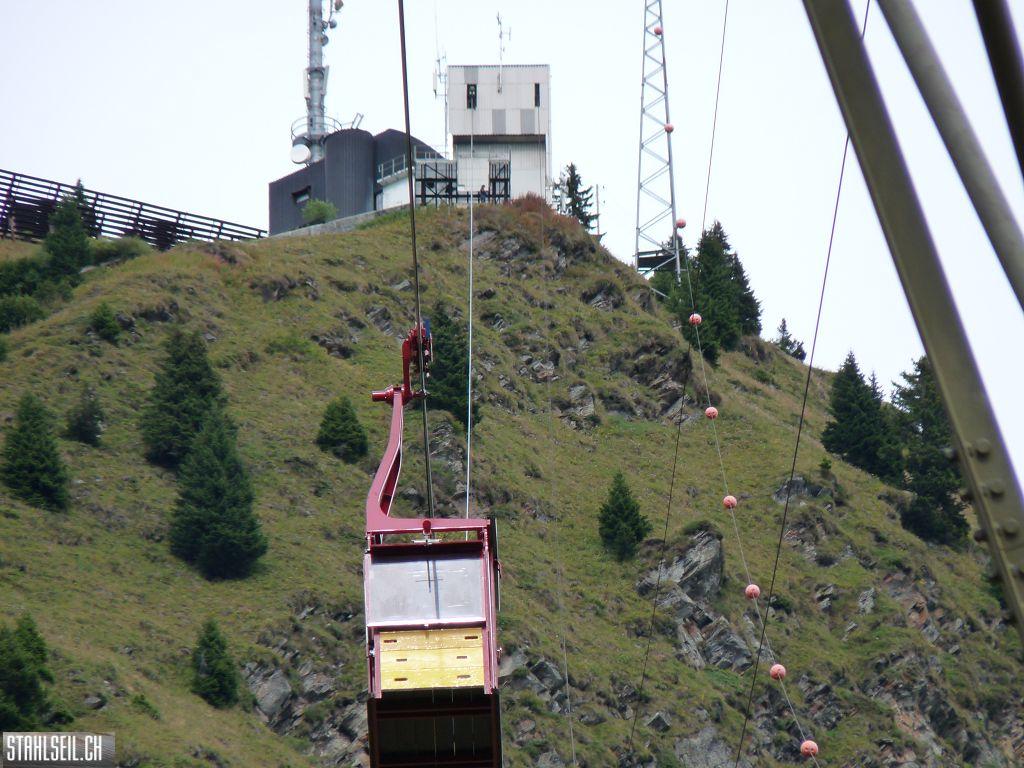 k-P1470513.JPG
