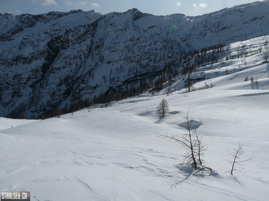 k-P1240940.JPG