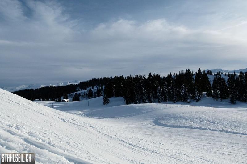 k-P1250362.JPG