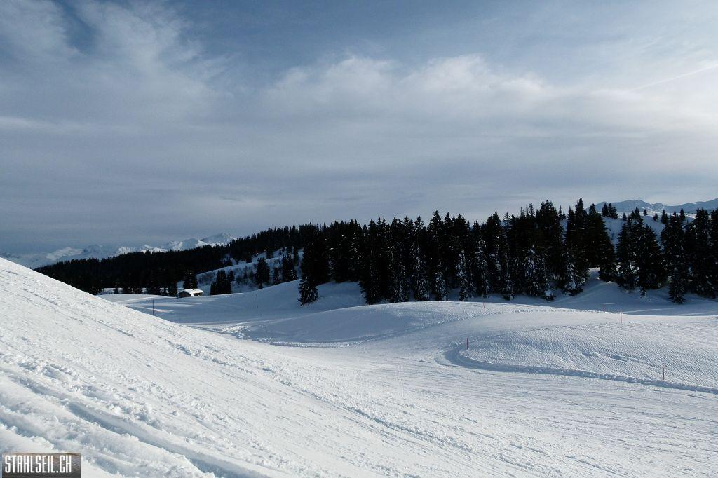 k-P1250362.JPG