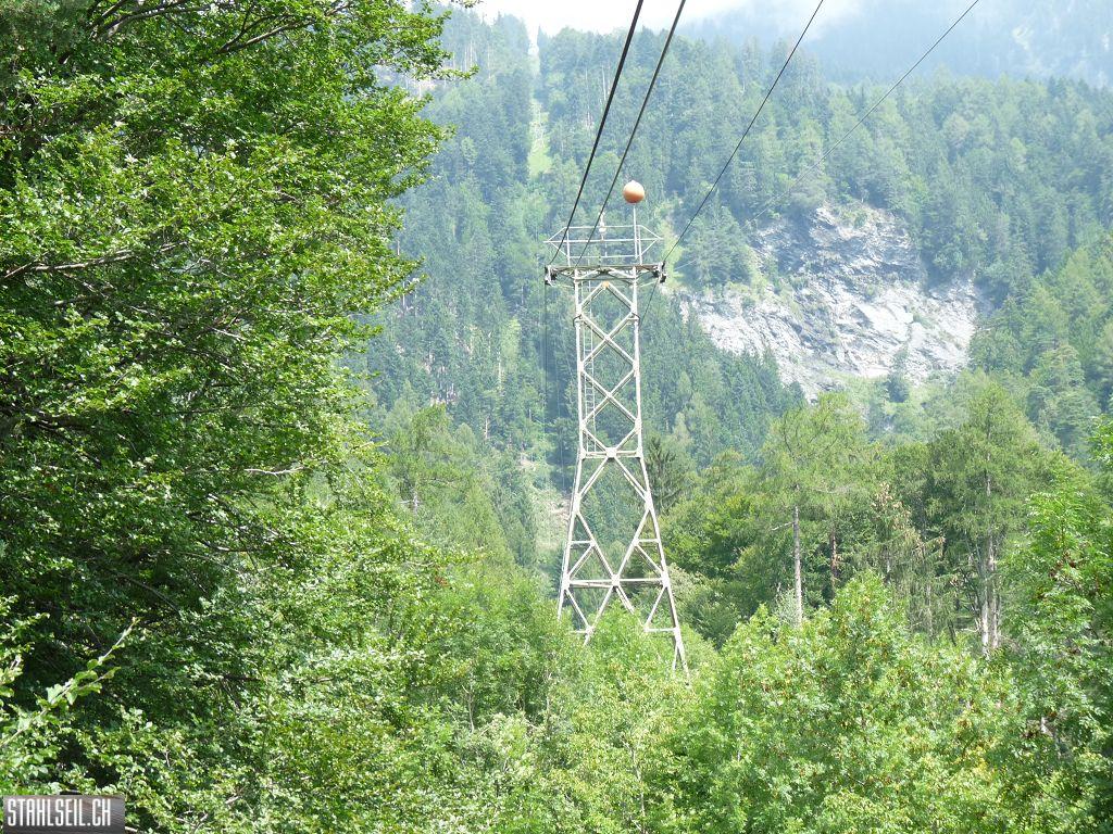 k-P1430391.JPG