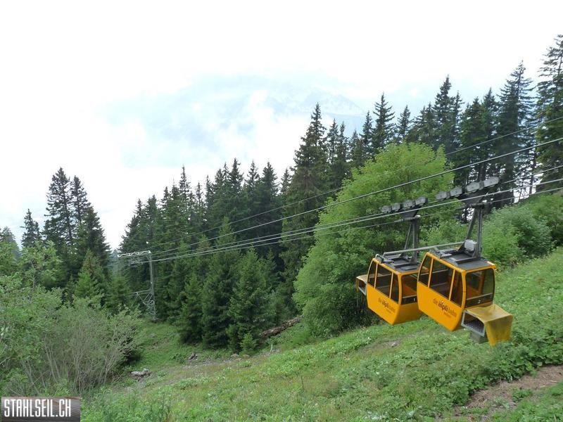 k-P1430421.JPG