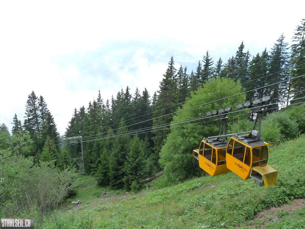 k-P1430421.JPG