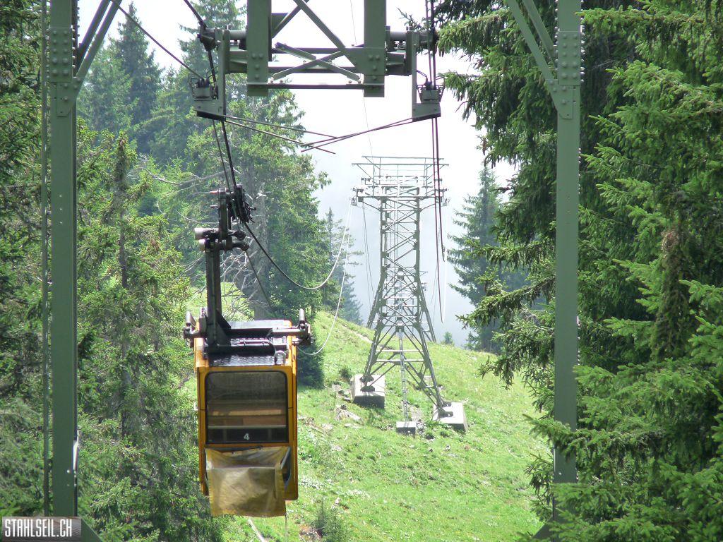 k-P1430458.JPG
