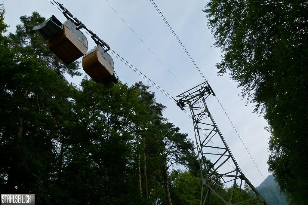 k-P1410796.JPG