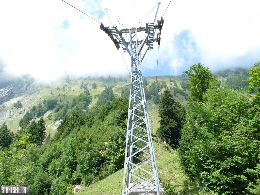 k-P1450945.JPG