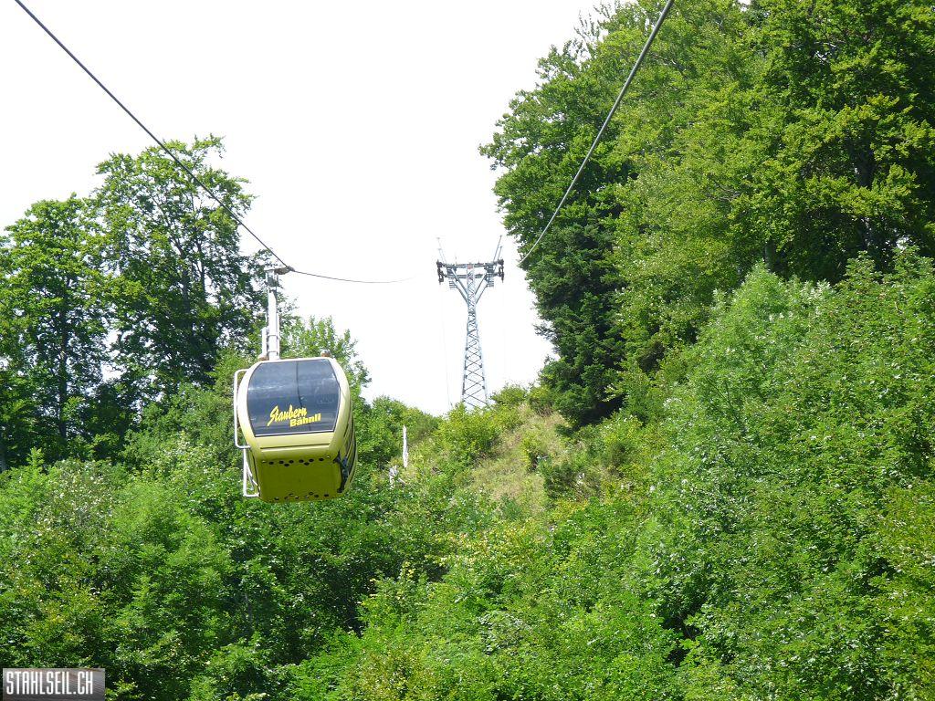 k-P1450950.JPG