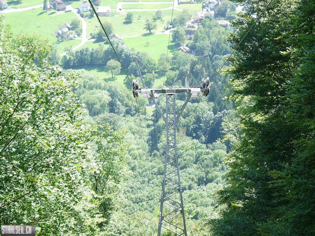 k-P1450953.JPG