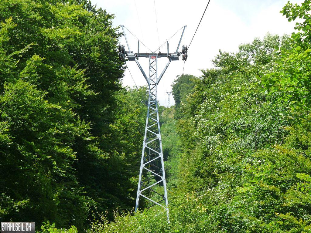 k-P1450956.JPG