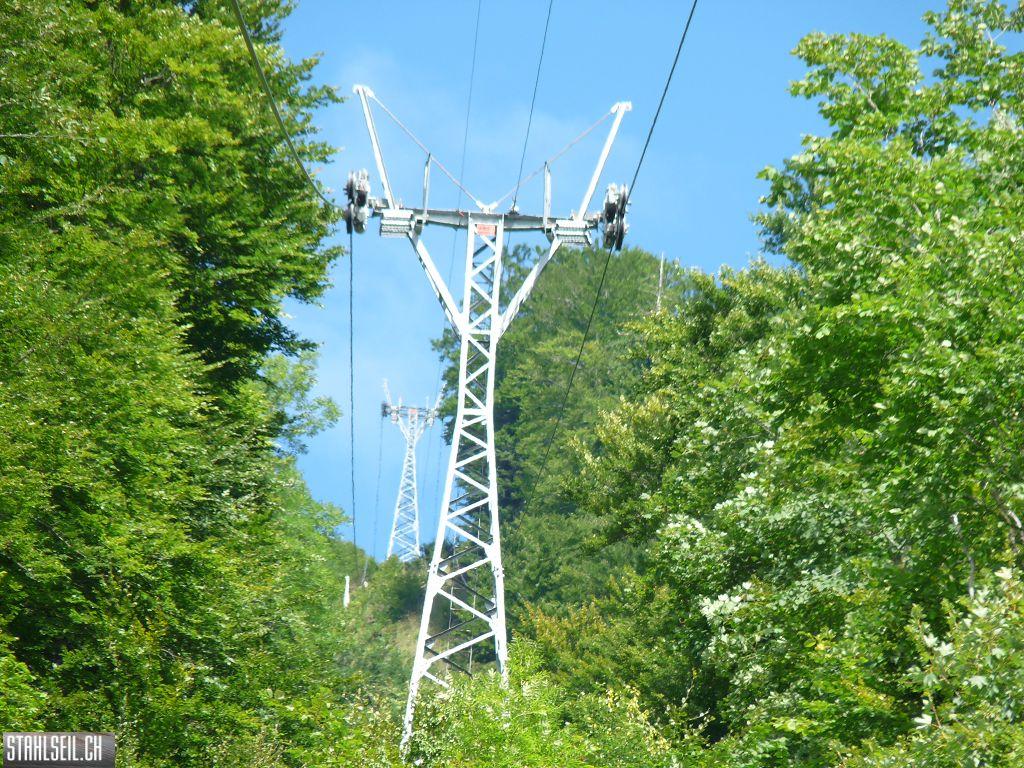 k-P1450800.JPG