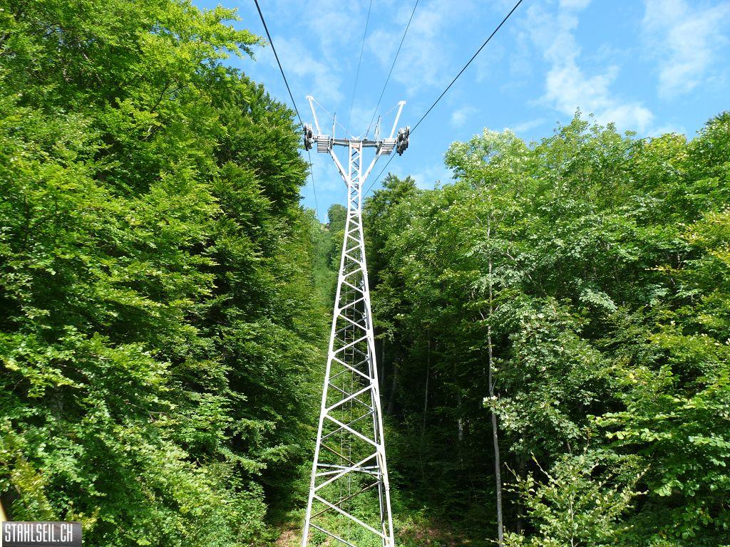 k-P1450802.JPG
