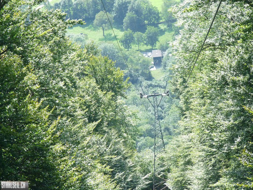 k-P1450806.JPG