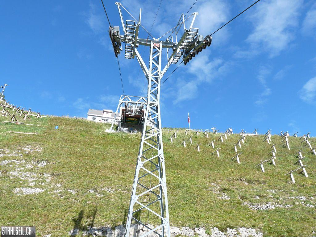 k-P1450831.JPG