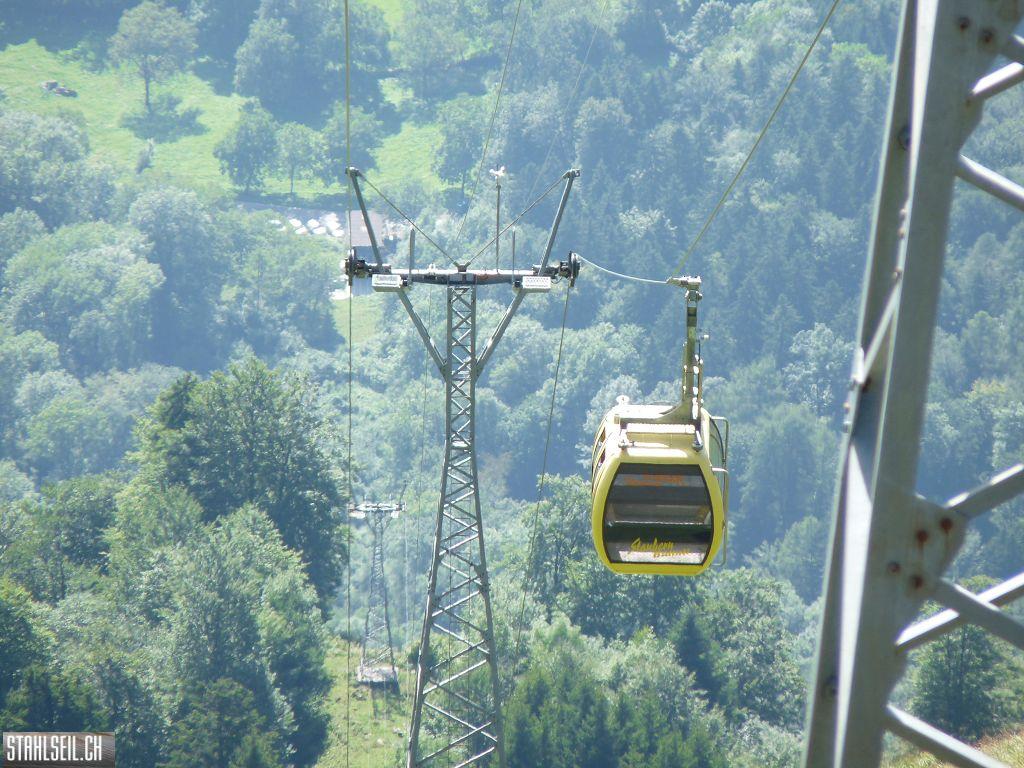 k-P1450841.JPG