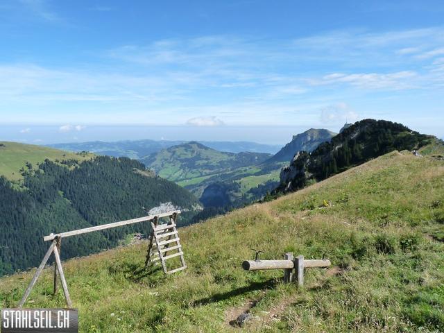 k-P1450847.JPG