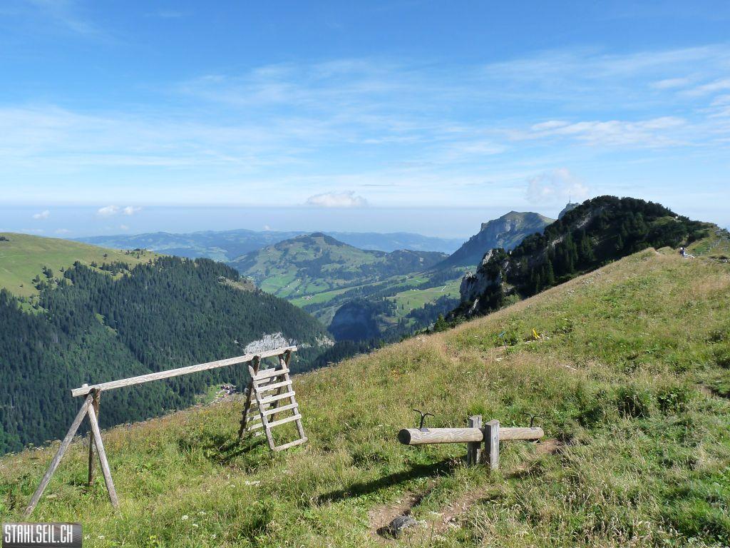 k-P1450847.JPG