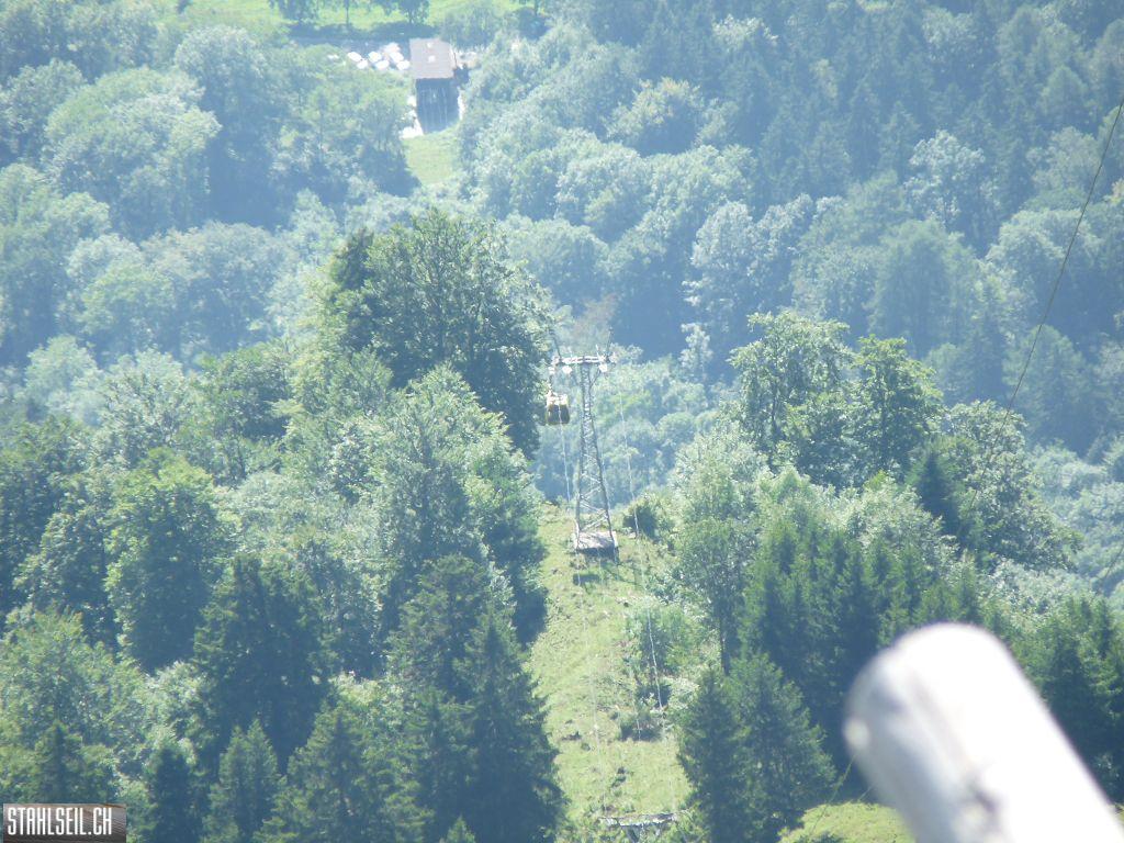 k-P1450854.JPG