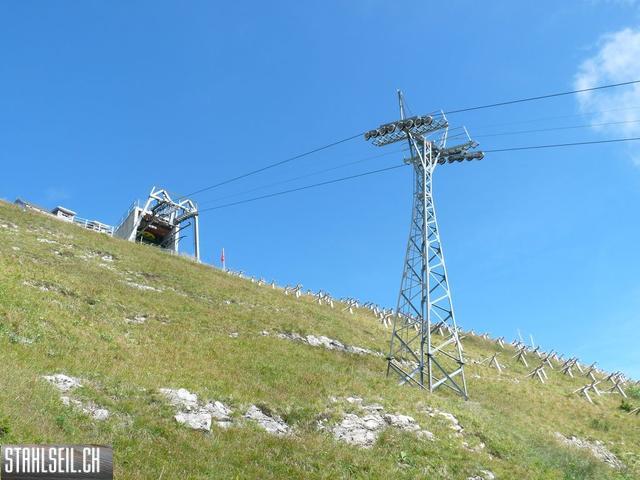 k-P1450876.JPG