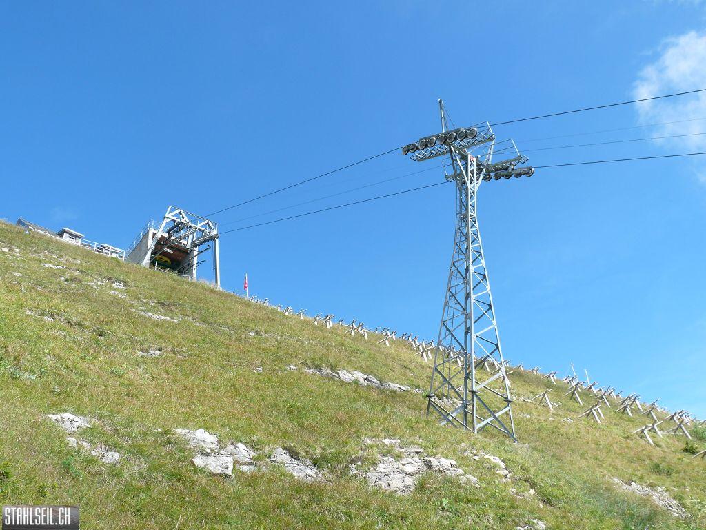 k-P1450876.JPG