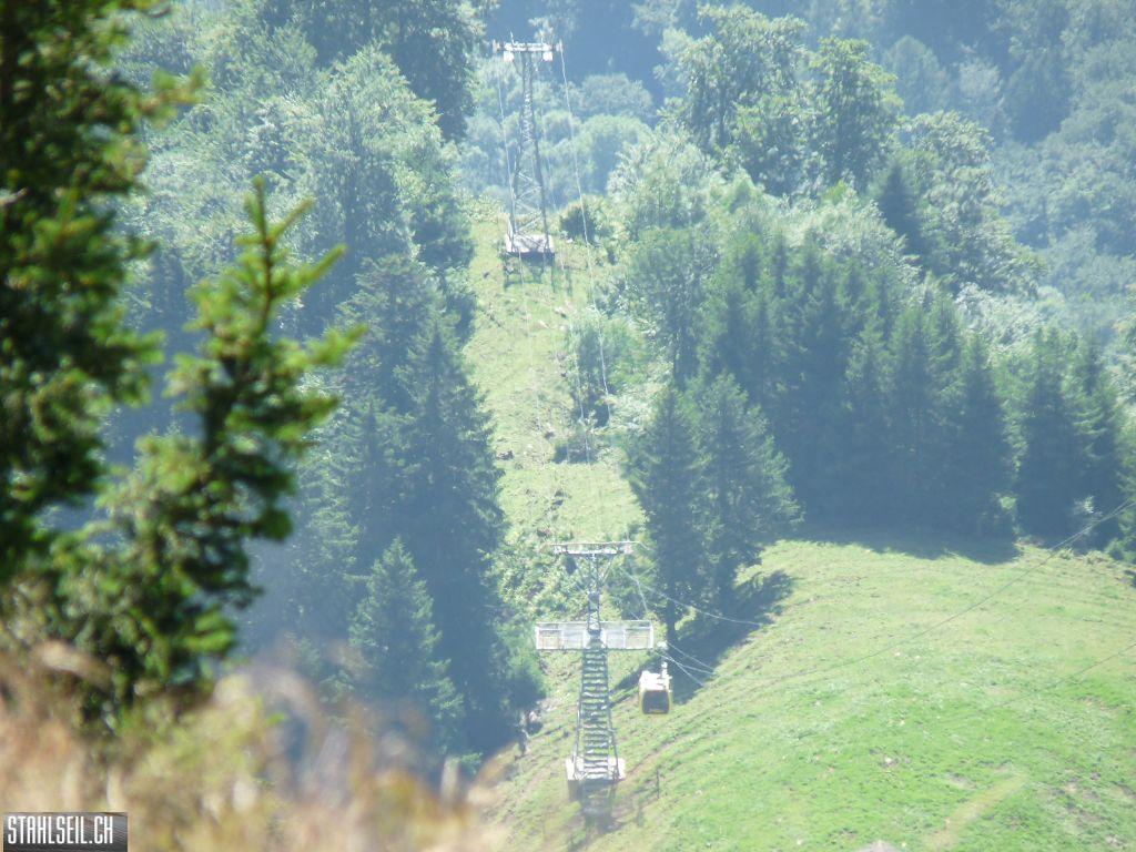 k-P1450880.JPG