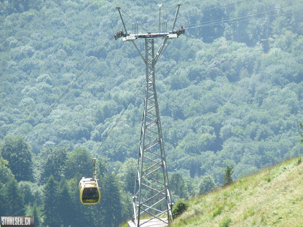 k-P1450882.JPG