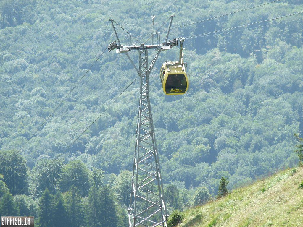 k-P1450883.JPG