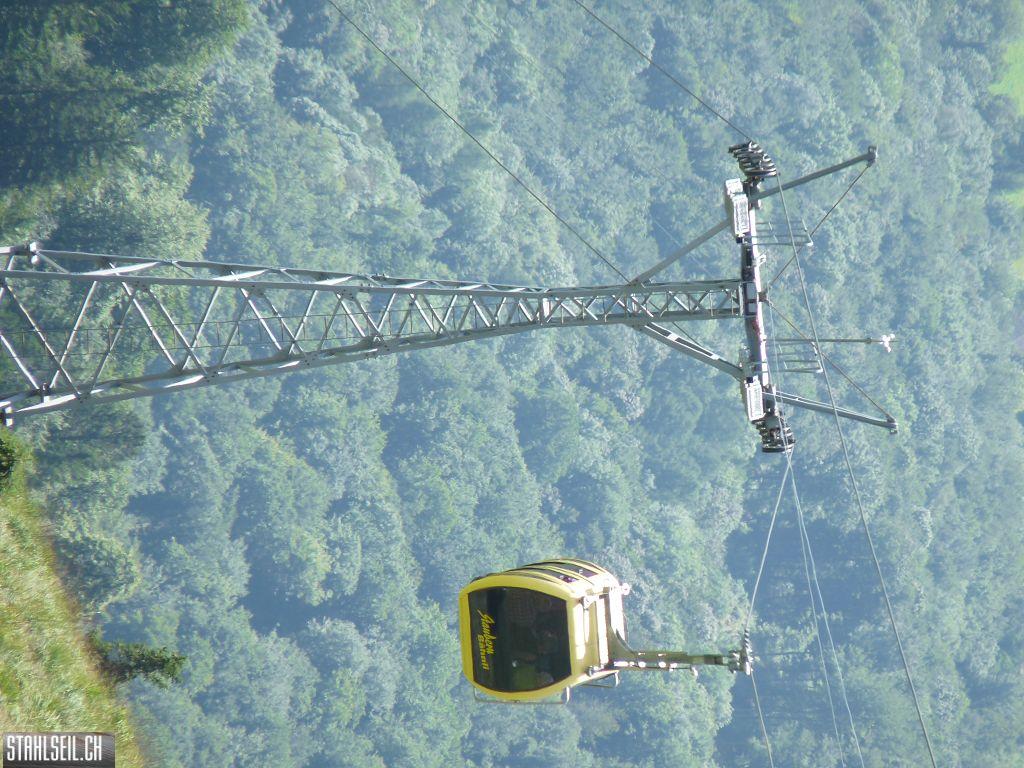 k-P1450884.JPG