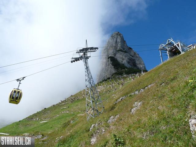k-P1450888.JPG