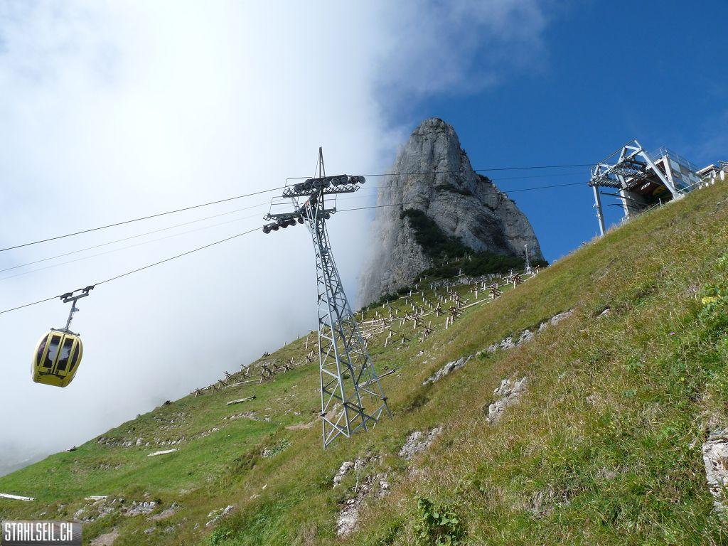 k-P1450888.JPG
