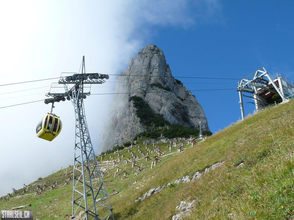 k-P1450889.JPG