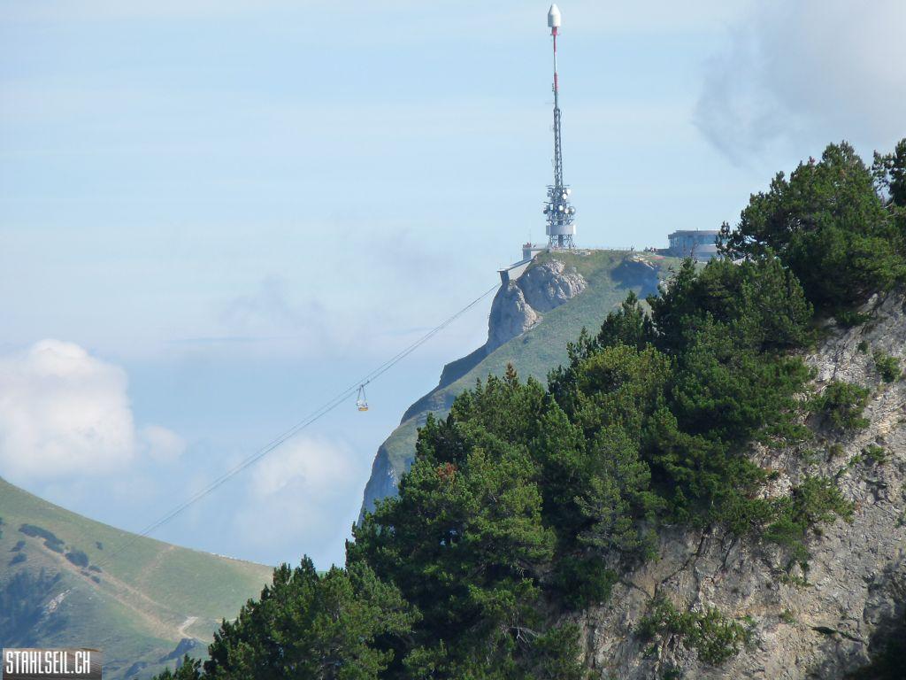 k-P1450919.JPG