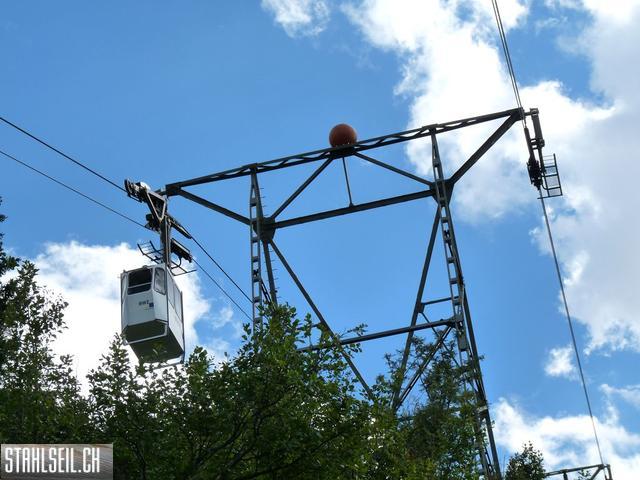 k-P1460227.JPG