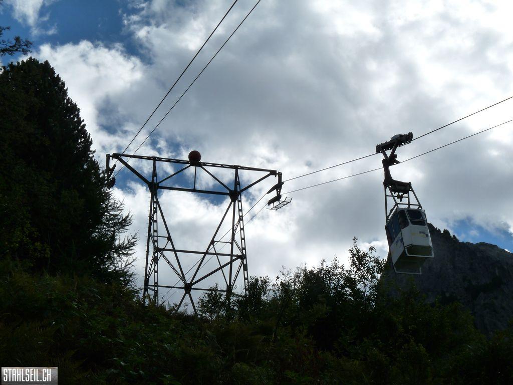 k-P1460235.JPG