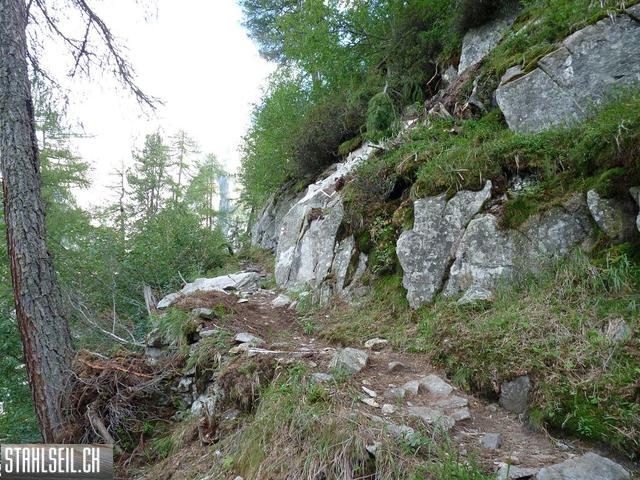 k-P1460237.JPG