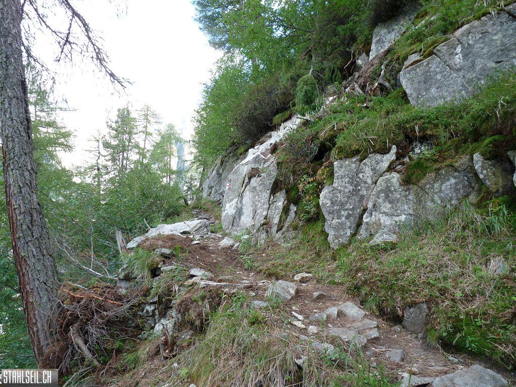 k-P1460237.JPG