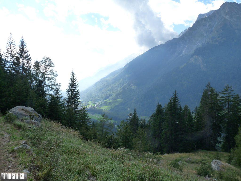 k-P1460246.JPG