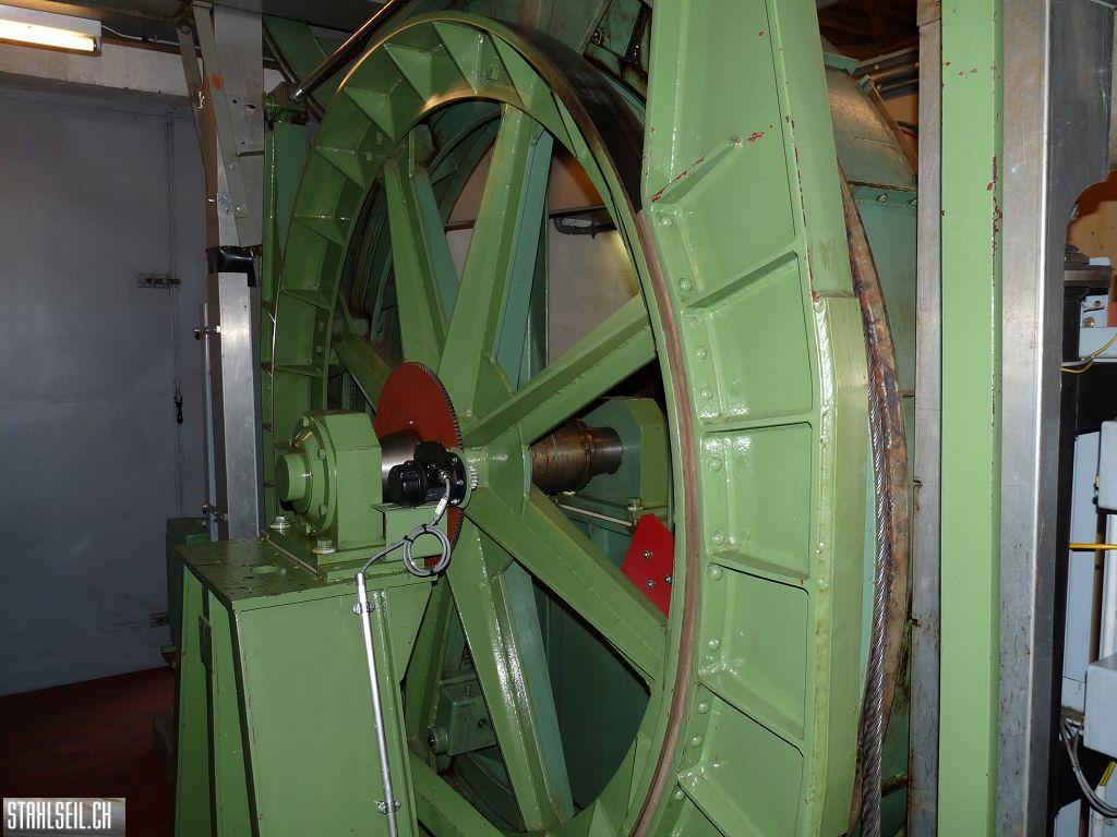 k-P1460285.JPG